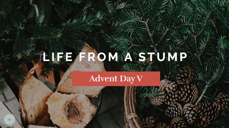 Life from a Stump