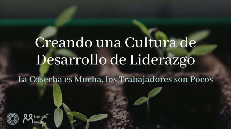 Creando una Cultura de Desarrollo de Liderazgo